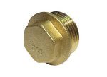Brass Flanged Plug