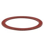 Access Pump Valve Gasket