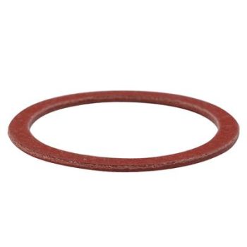 Access Pump Valve Gasket