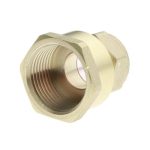 Compression Straight Connector FI